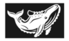 graywhaletechnology discoun