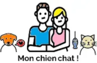 mon chien chat discounts